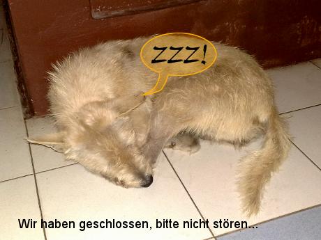 Bild wird geladen