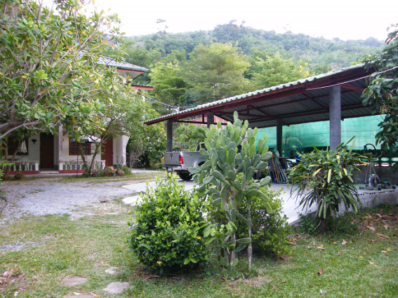 Main picture
