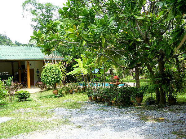 Main picture