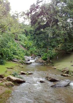 Mae Sa Valley